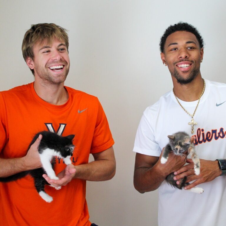 509420356_1154825450016811_6983029052473790562_n