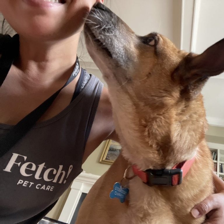 Fetch Pet Care Fetch Pet Care