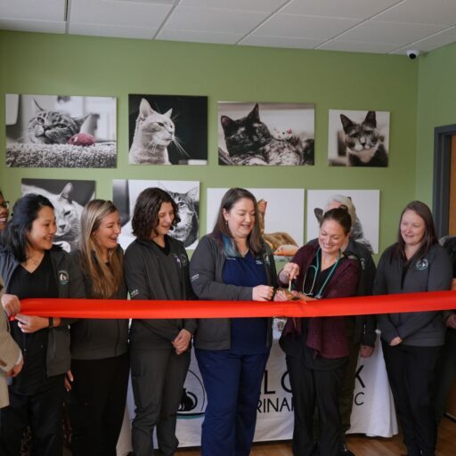 MCVC Ribbon Cutting