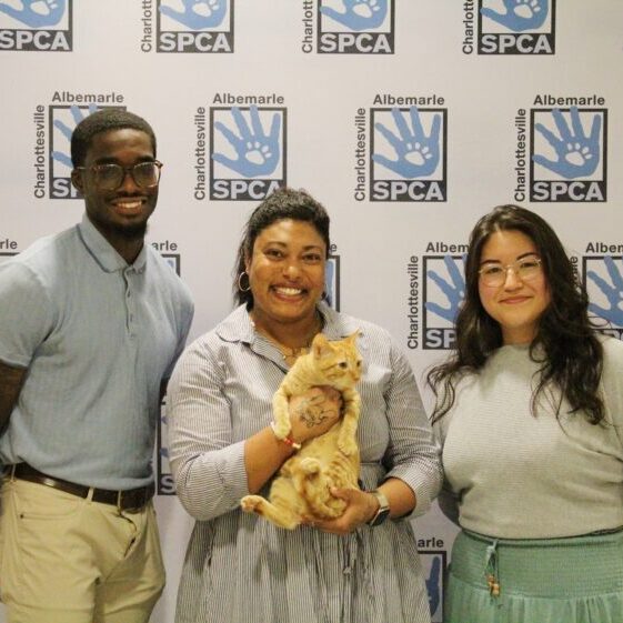 SPCAxChamber SPCAxChamber